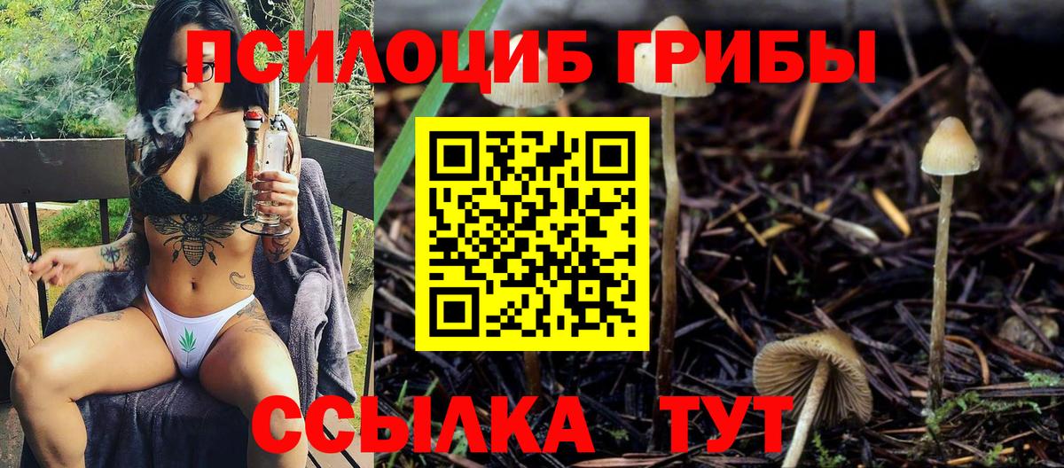 Нижнекамск  Псилоцибиновые грибы Magic Shrooms  Вход с VPN 