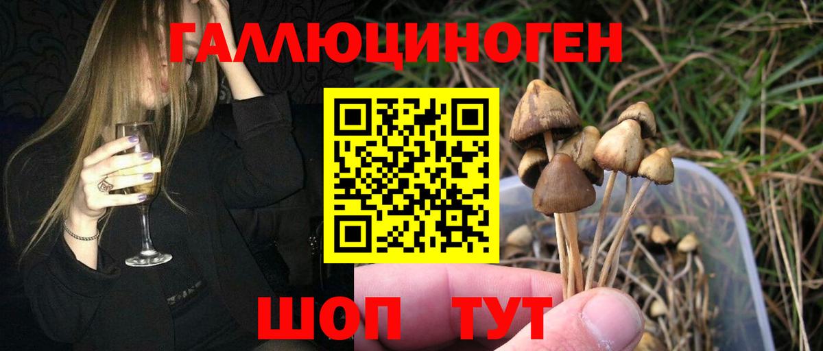 Псилоцибиновые грибы GOLDEN TEACHER Нижнекамск